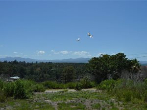 1200 m² Land available in Phantom Pass