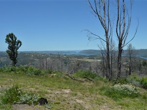1200 m² Land available in Phantom Pass