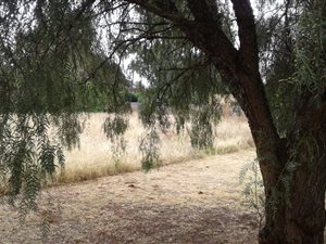 990 m² Land available in Meyerton Central
