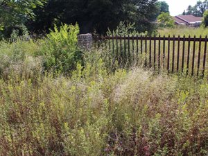 1115 m² Land available in Deneysville