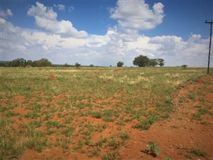 8 ha Land available in Bainsvlei