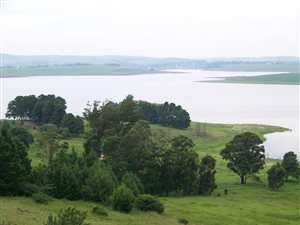 1.6 ha Land available in Kamberg