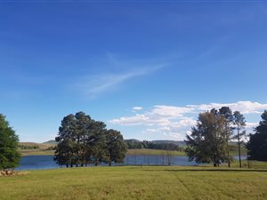 1.6 ha Land available in Kamberg