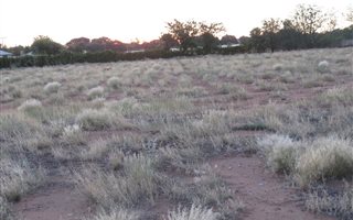 3 ha Land available in Keimoes