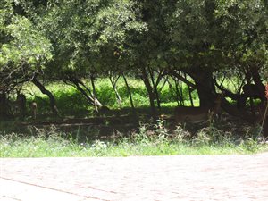 1916 m² Land available in Vaal de Grace Golf Estate