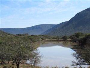 4634 ha Farm in Adelaide
