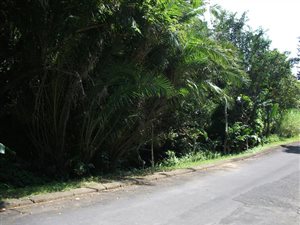 1438 m² Land available in Ramsgate