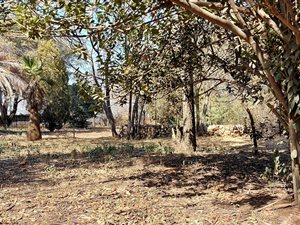 4047 m² Land available in Highbury