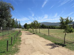 12 ha Farm in Paarl