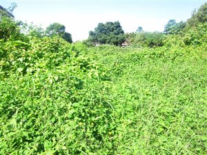 952 m² Land available in La Mercy