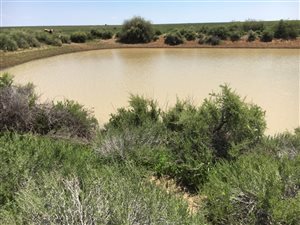 4299 ha Farm in Hopetown