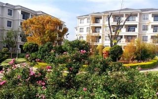 2 Bedroom Apartment in Noordwyk