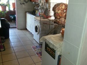 4 Bed House in Proclamation Hill