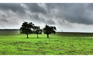 513 ha Farm in Lindley