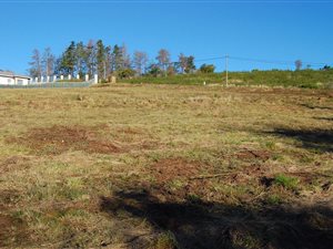4007 m² Land available in Kanonkop