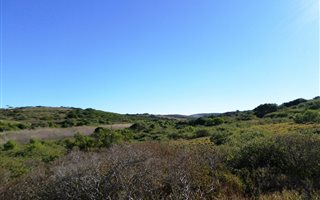 1050 m² Land available in Forest Downs