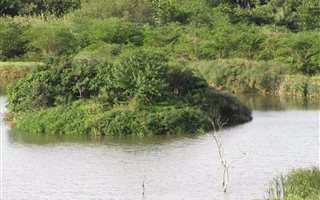 178 ha Farm in Shakas Rock