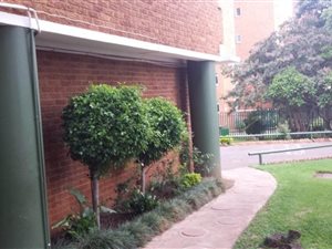2 Bed Apartment in Sunnyside