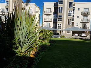 3 Bed Apartment in Reebok