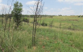 Farm in Rietfontein