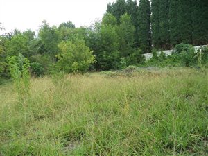 1789 m² Land available in Houghton Estate