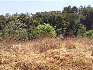 2697 m² Land available in Bronkhorstbaai
