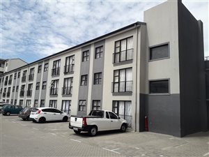 Studio apartment in Maitland