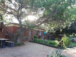 21 ha Farm in Musina