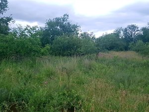 1520 m² Land available in The Ridge Estate