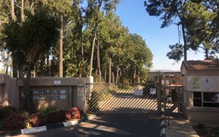 1 Bedroom Apartment in Rembrandt Park