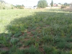 1983 m² Land available in Jameson Park