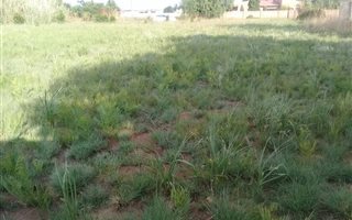 1983 m² Land available in Jameson Park