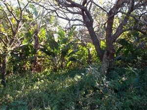 2206 m² Land available in Southbroom
