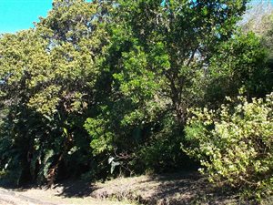 2206 m² Land available in Southbroom