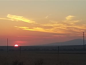 4981 m² Land available in Klipheuwel