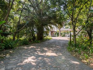 6 Bed House in Denver Park