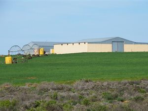 1784 ha Farm in Graafwater