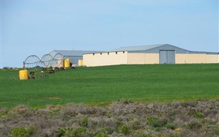 1784 ha Farm in Graafwater