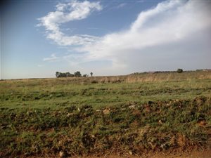 4 ha Land available in Withok Estates