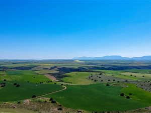 465 ha Farm in Riversdale