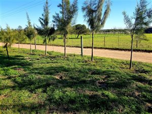 7 ha Farm in Atlantis Central