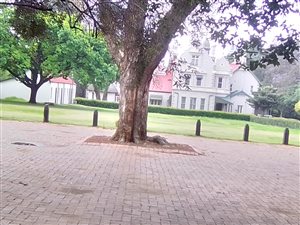 2 Bed Apartment in Pretoria Central
