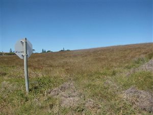 781 m² Land available in Boesmansriviermond