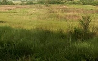 8 ha Land available in Albert Falls