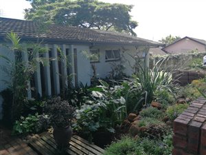 4 Bed House in Montrose
