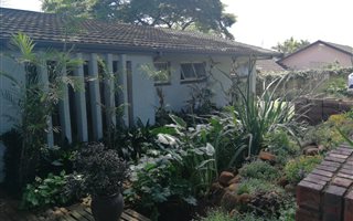 3 Bedroom House in Montrose