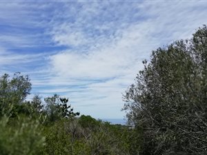 3 ha Land available in Wilderness Heights