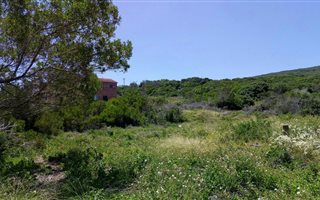 1037 m² Land available in Beachview