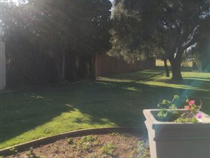 2 Bed House in Freeway Park