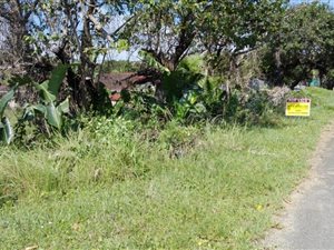 1340 m² Land available in Palm Beach